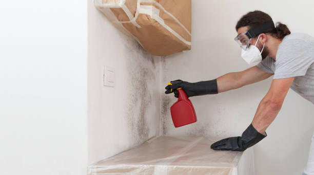Professional Crawl Space Mold Removal technician working in Akron, PA