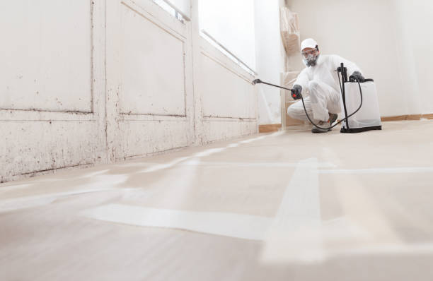 24/7 Emergency Crawl Space Mold Removal experts in Akron, PA